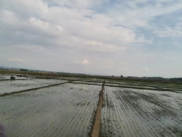 舒兰疫情后，现在农民种地怎么办？