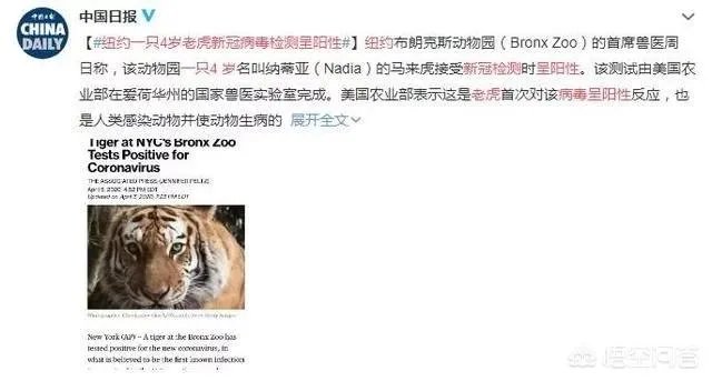 怎么看巴西总统被鸵鸟咬伤?