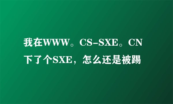 我在WWW。CS-SXE。CN下了个SXE，怎么还是被踢