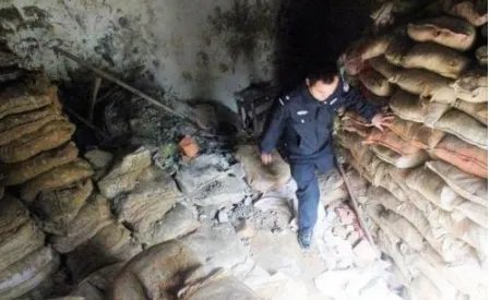 山西侦破盗掘古墓案了吗?