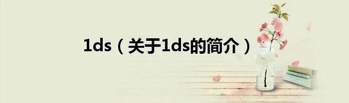 1ds（关于1ds的简介）