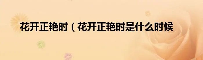花开正艳时（花开正艳时是什么时候