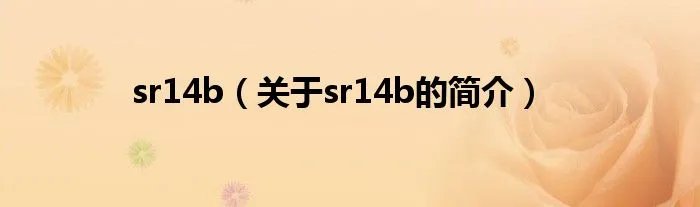 sr14b（关于sr14b的简介）