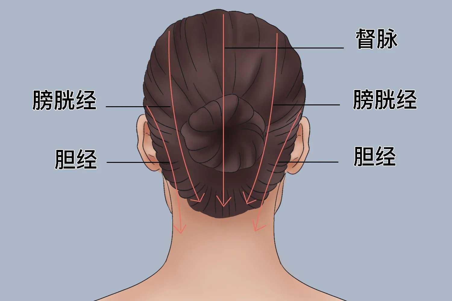 头部后脑勺经络图解大全图片