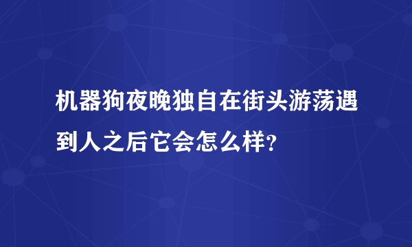 机器狗夜晚独自在街头游荡遇到人之后它会怎么样？