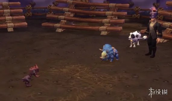 《魔兽世界》暗月马戏团宠物对战攻略