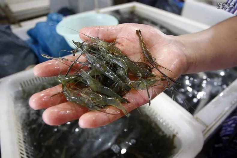 江西南美冻虾外包装检出新冠阳性 消费者购买情况如何