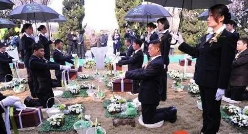 骨灰免费自然葬是怎么回事?