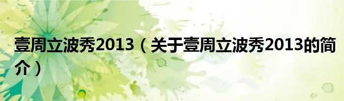 壹周立波秀2013(关于壹周立波秀2013的简介)