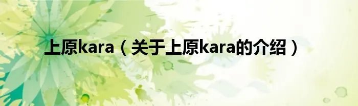 上原kara（关于上原kara的介绍）