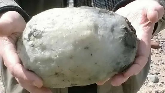 渔夫捡到一块臭石头 竟是价值数百万(图)