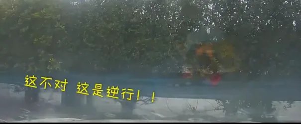 高速逆行引连环撞怎么处罚的?