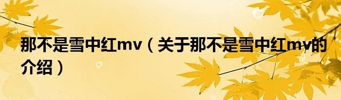 那不是雪中红mv（关于那不是雪中红mv的介绍）