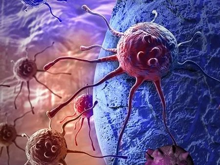 青岛公布新增1例：系9月24日发布的大港公司无症状感染者转归