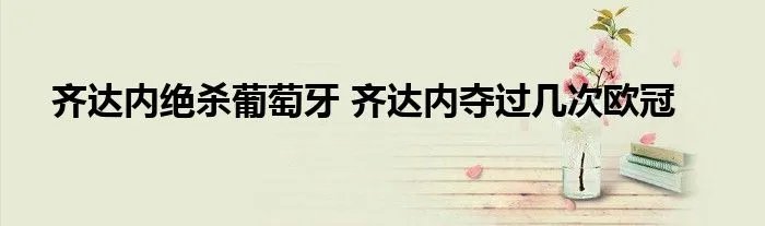 齐达内绝杀葡萄牙 齐达内夺过几次欧冠