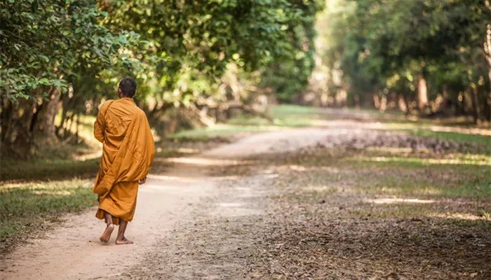 手把青秧插满田的全诗是什么 手把青秧插满田此诗出自哪里