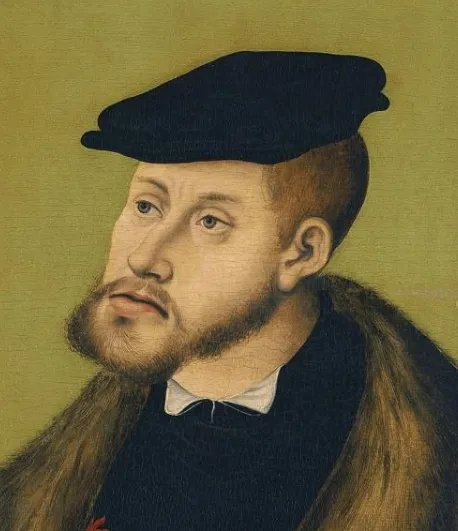 什么是哈布斯堡王朝下巴?近亲结婚创造的“鞋拔子脸”!