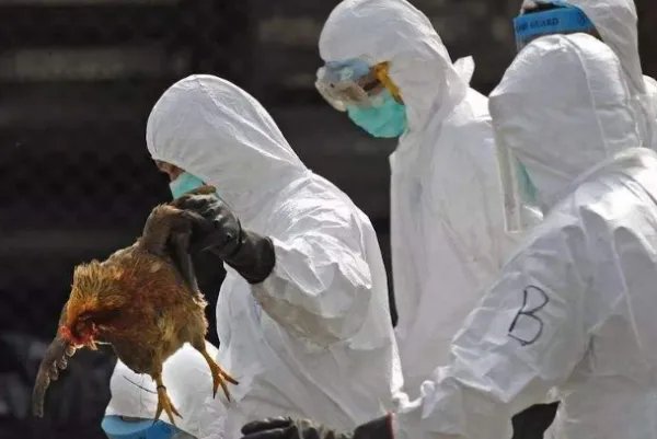 纽约州长称80%病例都能自愈,是否这就是美国放任疫情不严格管控的原因?