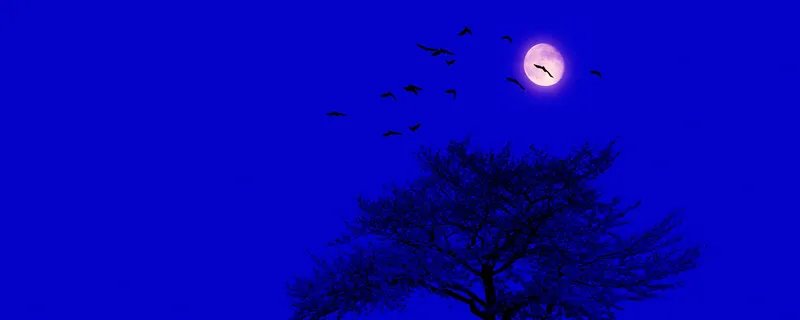 蓝色的心表示什么意思 蓝色的心表示什么含义