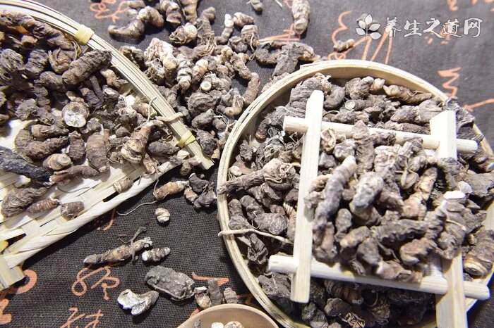 狗犬瘟热用什么药