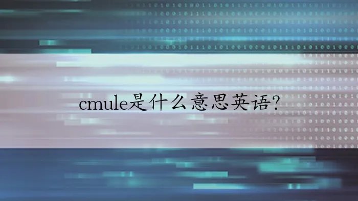 cmule是什么意思英语？