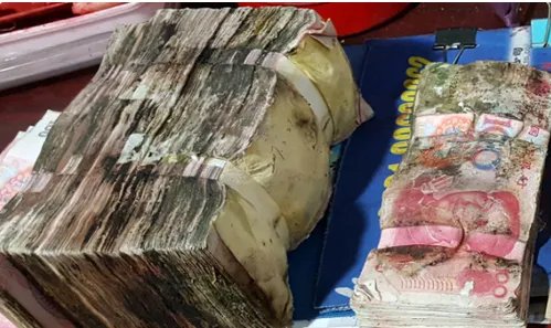 16万忘在车库长毛能兑换真钱吗?