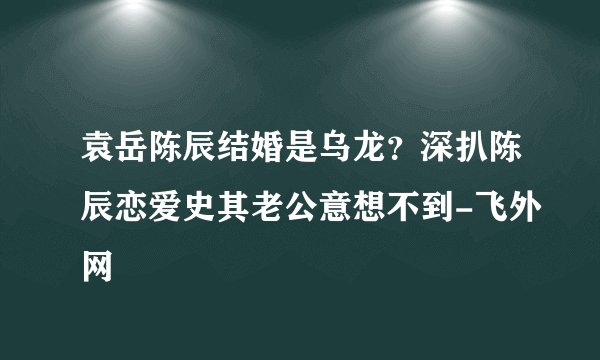 袁岳陈辰结婚是乌龙?深扒陈辰恋爱史其老公意想不到-飞外网