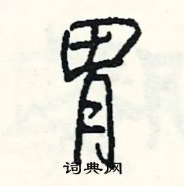 胃组词_胃字怎么组词_胃组词有哪些_带胃字的词语