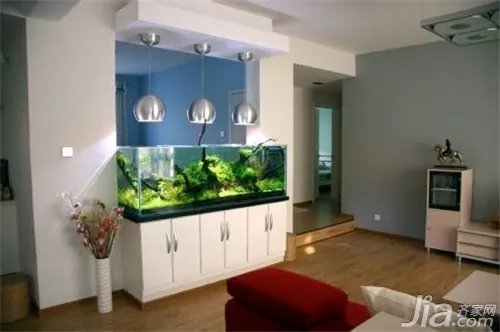 家里如何养鱼?养鱼知识大全