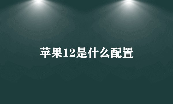 苹果12是什么配置