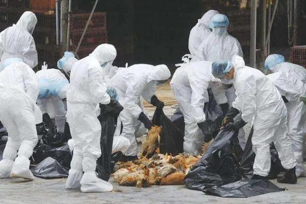 2020疫情最新消息今天意大利