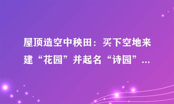 屋顶造空中秧田:买下空地来建“花园”并起名“诗园”-飞外电脑网