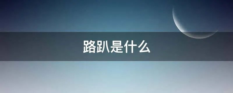 路趴是什么