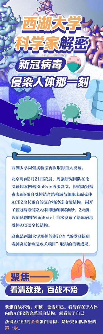 浙江第一批疫苗已产生抗体!揭秘新冠病毒侵染人体那一瞬间