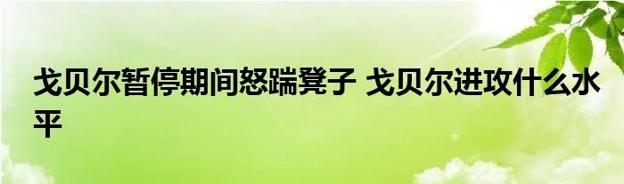 戈贝尔暂停期间怒踹凳子 戈贝尔进攻什么水平