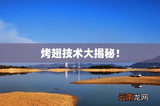 烤翅技术大揭秘!