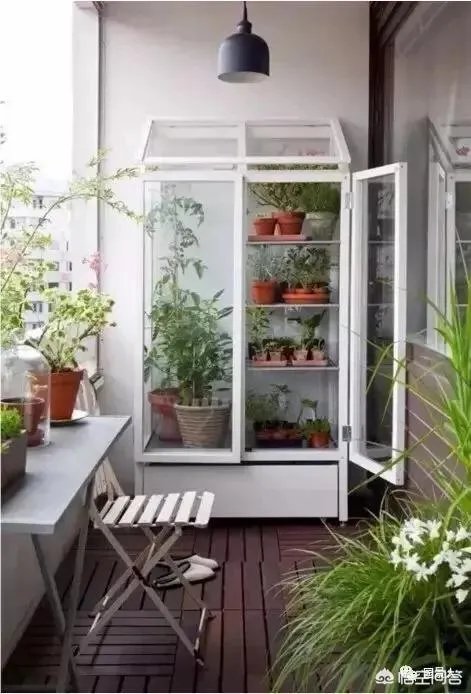 长方形的小阳台怎么打造小花园？