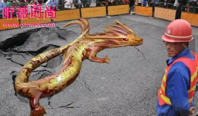 村民修路竟然意外挖出千年真龙(组图)