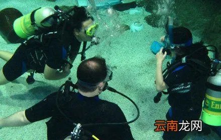 富国海底世界潜水体验