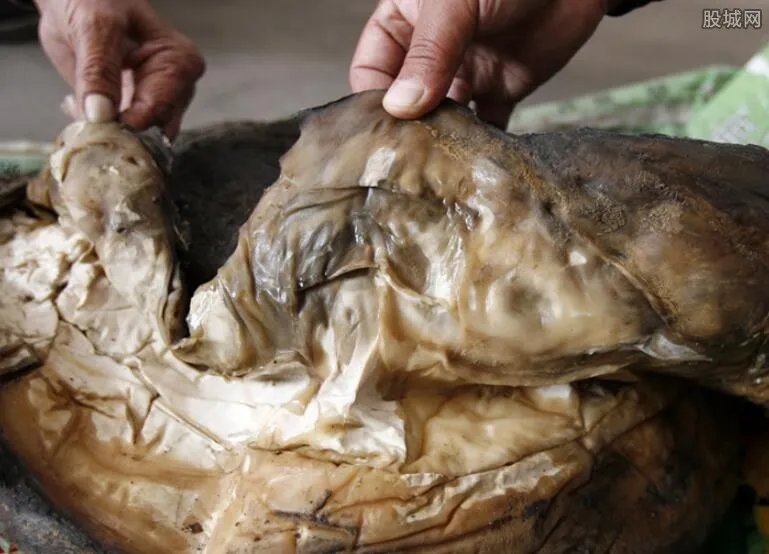 工人草坪挖出太岁 太岁到底有什么价值