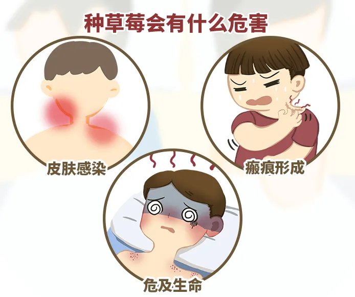 种草莓会有什么危害