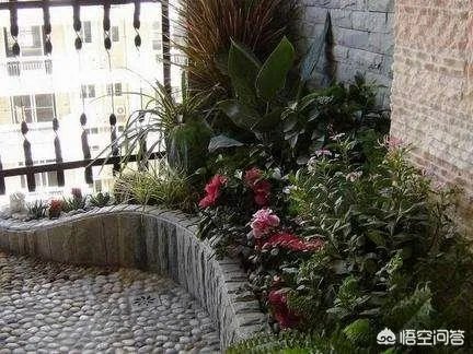长方形的小阳台怎么打造小花园？