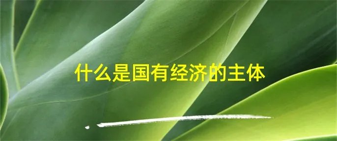 什么是国有经济的主体