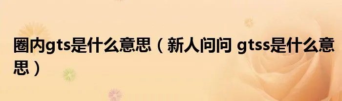 圈内gts是什么意思（新人问问 gtss是什么意思）