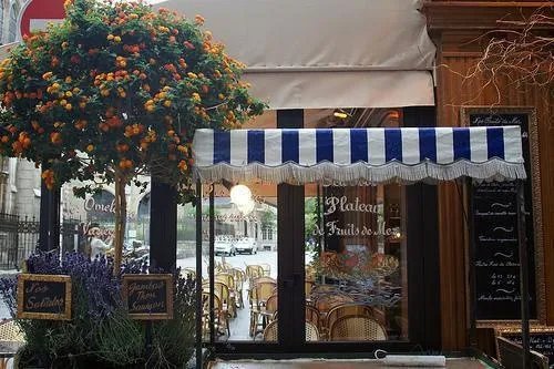 为卿江山为聘小说洛卿霜玄樾乔晚全章节阅读