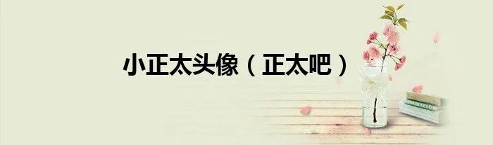 小正太头像（正太吧）