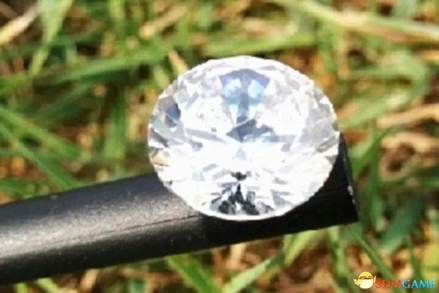 英国宠物犬捡到钻石 价值达1.2万英镑归主人所有