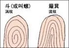 手纹斗代表什么意思 手纹十个斗的说法