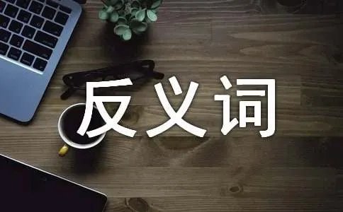 盛开的反义词是什么
