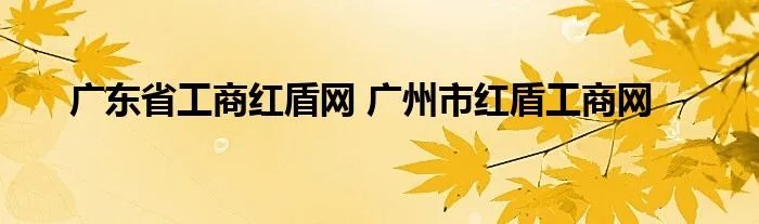 广东省工商红盾网 广州市红盾工商网